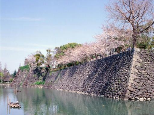 八代城跡の画像
